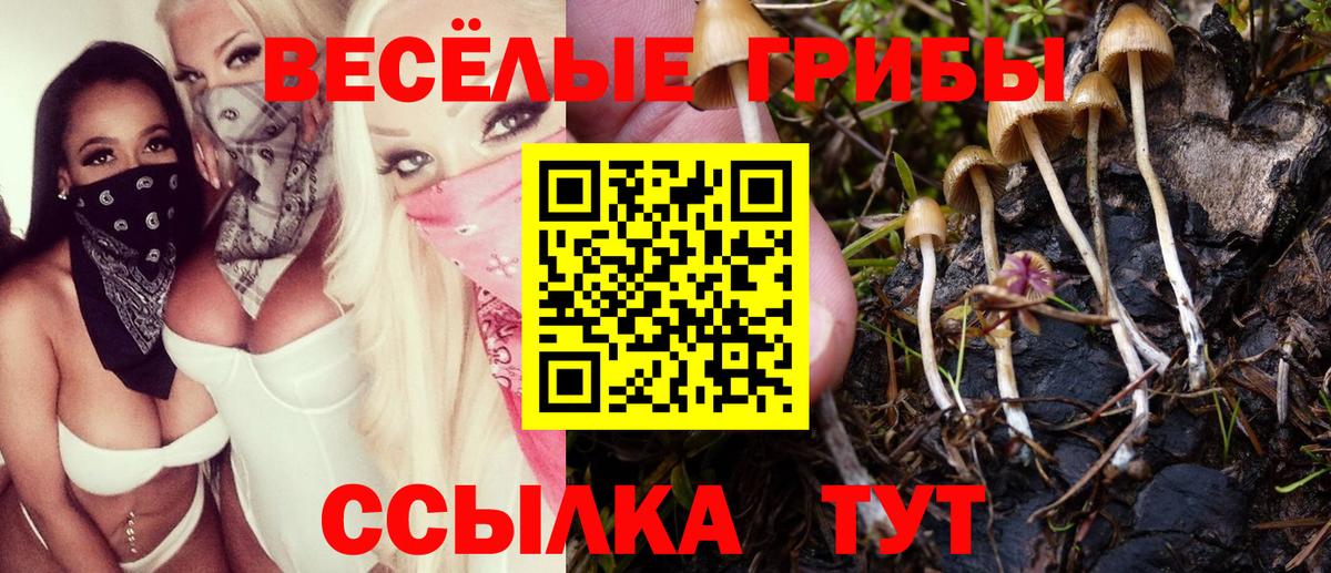 Галлюциногенные грибы Psilocybine cubensis Биробиджан
