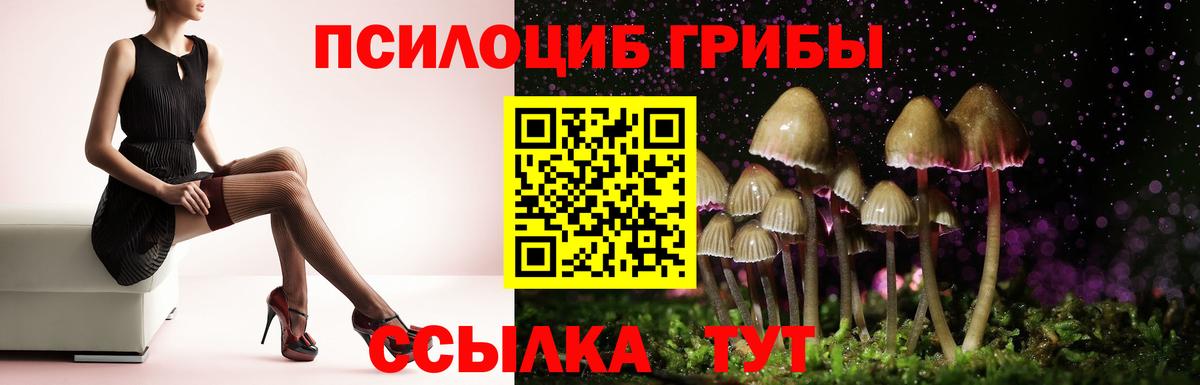 Биробиджан  Галлюциногенные грибы GOLDEN TEACHER  Вход с VPN 